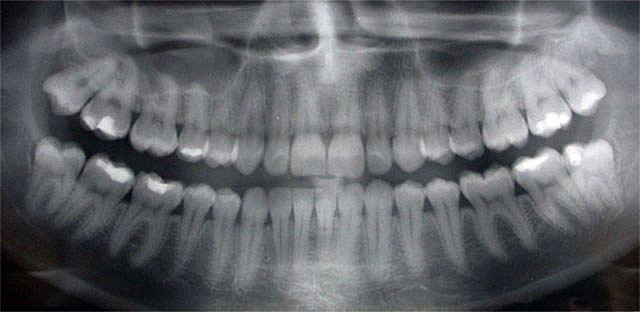 Ogden Dental